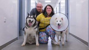 The Dog Hospital with Graeme Hall 1. évad Ep.1 1. epizód