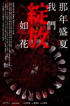 那年盛夏我們綻放如花 poszter