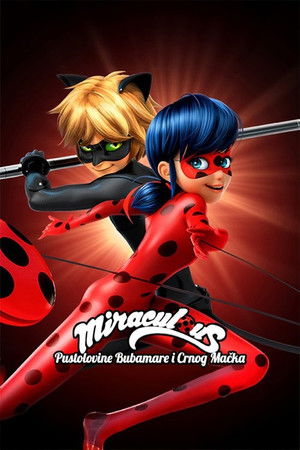 Miraculous Katicabogár és Fekete Macska kalandjai poszter