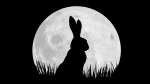 Watership Down kép