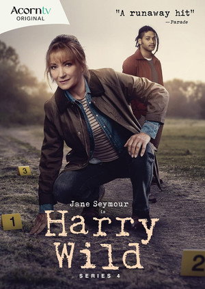 Harry Wild poszter