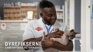 Critter Fixers: Az állatok szolgálatában kép