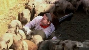 Gordon Ramsay - A pokol konyhája 7. évad Ep.5 12 szakács versenyez 2. rész