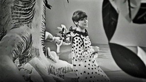 Le fiabe dell'albero kép