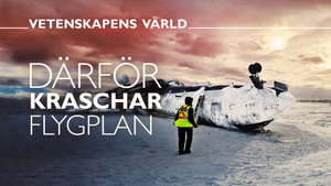 Vetenskapens värld 51. évad Ep.27 27. epizód