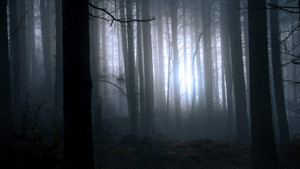 Finding Bigfoot kép
