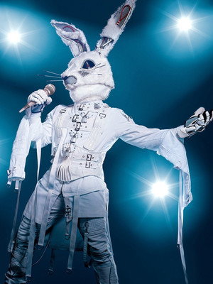 The Masked Singer poszter