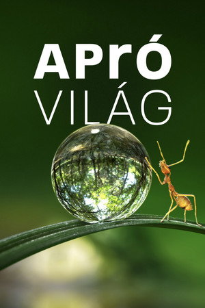 Apró világ poszter