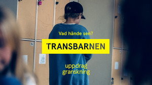Uppdrag granskning sommar 2022. évad Ep.4 4. epizód
