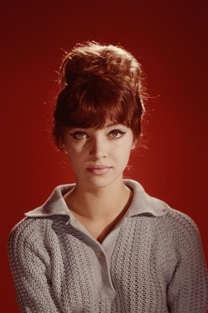 Anna Karina profil kép