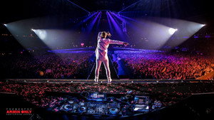 Armin van Buuren is Mr. Perfect kép