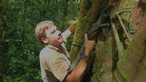 The Crocodile Hunter 3. évad Ep.6 6. epizód