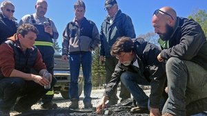 Oak Island átka 5. évad Ep.1 1. epizód