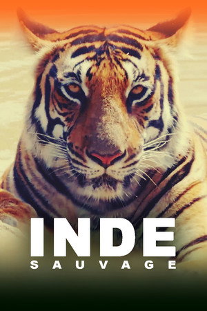 Destination Wild: India poszter