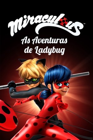 Miraculous Katicabogár és Fekete Macska kalandjai poszter