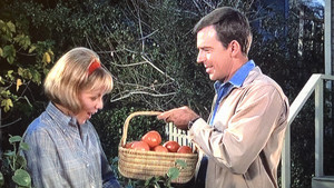 Mayberry R.F.D. 1. évad Ep.20 20. epizód