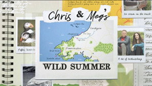 Chris and Meg's Wild Summer kép