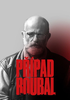 Případ Roubal 1. évad (2021-11-26) poszter