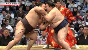 GRAND SUMO Highlights 33. évad Ep.11 11. epizód