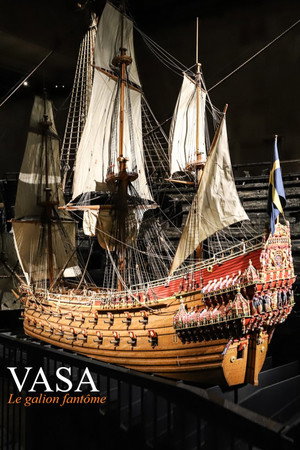 Vasaskeppets hemligheter poszter
