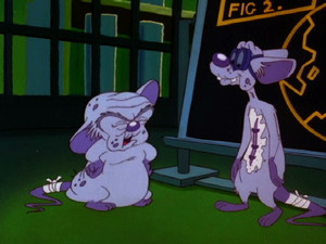 Pinky and the Brain 3. évad Ep.11 11. epizód