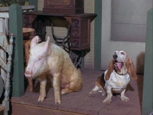 Green Acres 3. évad Ep.3 3. epizód