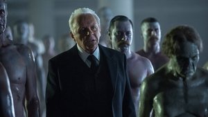 Westworld Az útvesztő Ep.9 A jól hangolt zongora