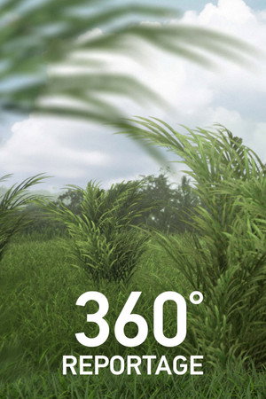 ARTE 360° Reportage poszter