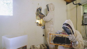 Renovation Aloha 1. évad Ep.2 2. epizód