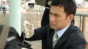 法證先鋒II kép