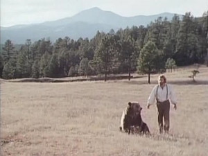 Grizzly Adams 2. évad Ep.24 24. epizód