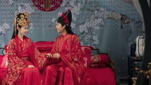 赘婿 kép