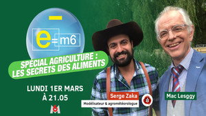 E=M6 31. évad Ep.1 1. epizód