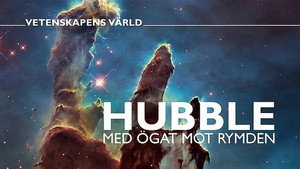 Vetenskapens värld 47. évad Ep.4 4. epizód