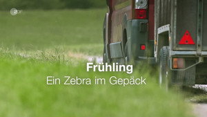 Legyen mindig tavasz 13. évad Ep.1 1. epizód