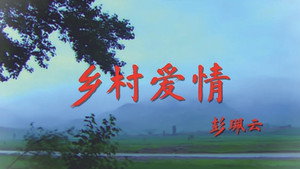 乡村爱情 kép