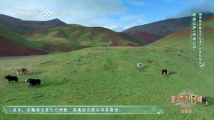 非遗里的中国 4. évad Ep.6 6. epizód
