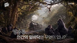 취미는 과학 1. évad Ep.83 83. epizód