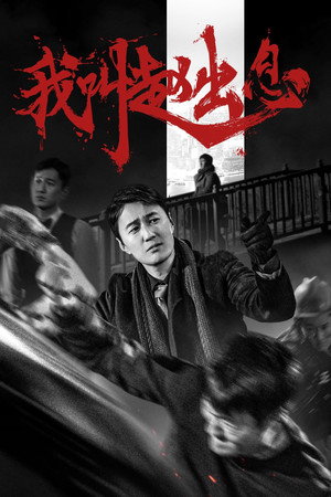 我叫赵出息 poszter