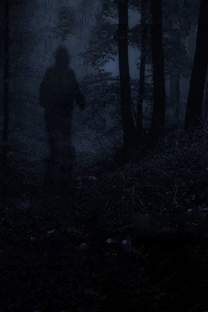 Monsters and Mysteries in America poszter