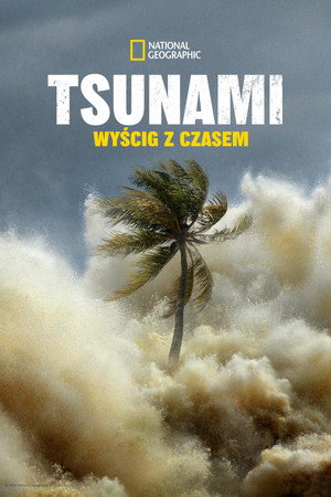2004-es szökőár: Versenyfutás az idővel poszter