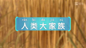 斑马百科 23. évad Ep.2 2. epizód