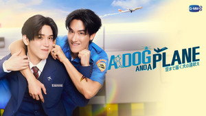หมาเห่าเครื่องบิน kép