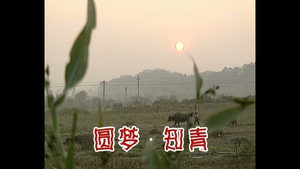 外来媳妇本地郎 1. évad Ep.259 259. epizód