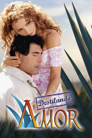 Destilando amor 1. évad (2007-01-22) poszter