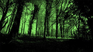 Are You Afraid of the Dark? kép
