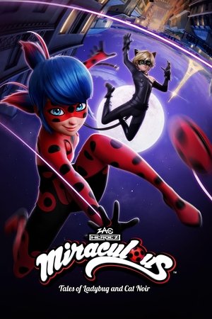 Miraculous Katicabogár és Fekete Macska kalandjai poszter