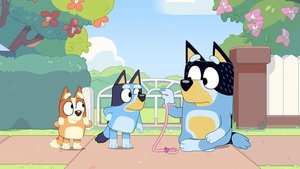 Bluey 1. évad Ep.50 Sanyi