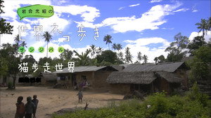 岩合光昭の世界ネコ歩き 1. évad Ep.56 56. epizód