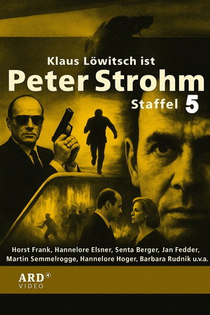 Peter Strohm 5. évad (1996-01-02) poszter